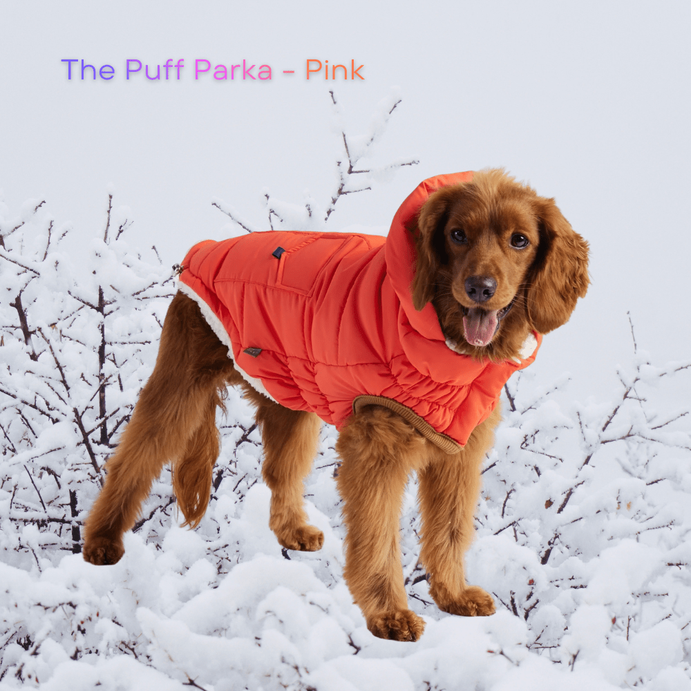 GF PET Super Puff Parka – The Winter Coat EVERY Dog Parent Wants - WFP Store