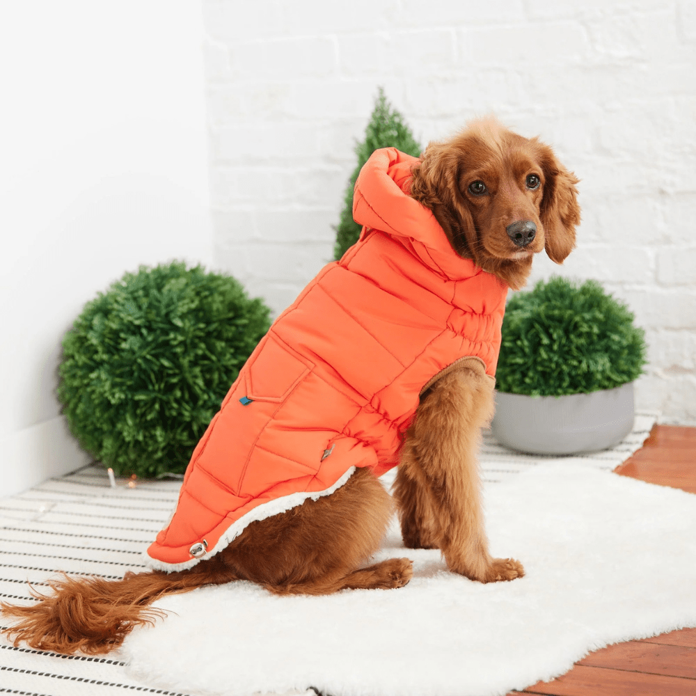 GF PET Super Puff Parka – The Winter Coat EVERY Dog Parent Wants - WFP Store