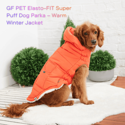 GF PET Super Puff Parka – The Winter Coat EVERY Dog Parent Wants - WFP Store
