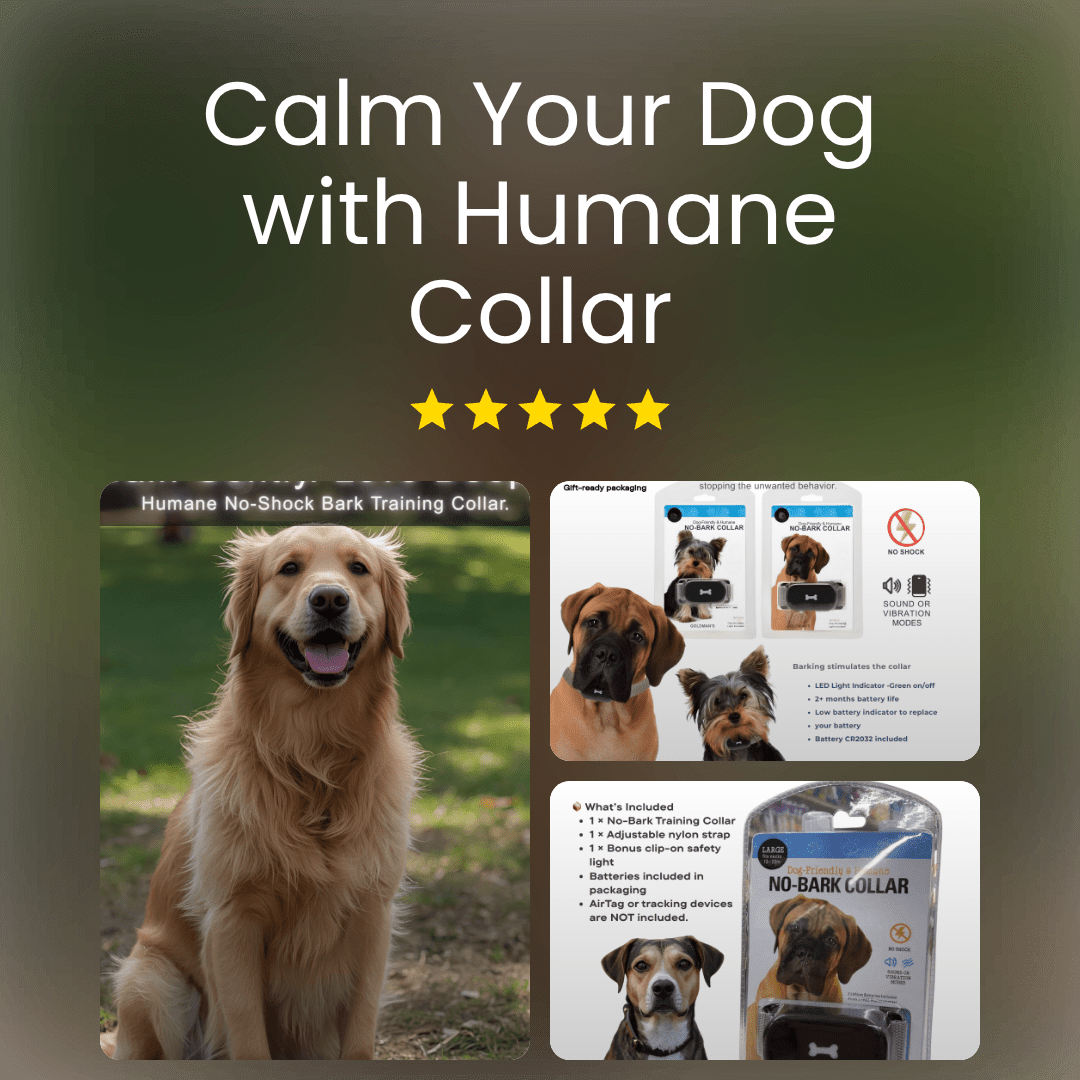 Humane No - Shock Bark Training Collar – Sound & Vibration | Large (13–22”) - WFP Store