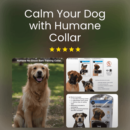 Humane No - Shock Bark Training Collar – Sound & Vibration | Large (13–22”) - WFP Store