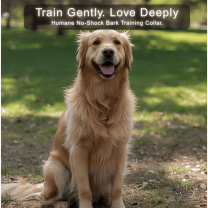 Humane No - Shock Bark Training Collar – Sound & Vibration | Large (13–22”) - WFP Store