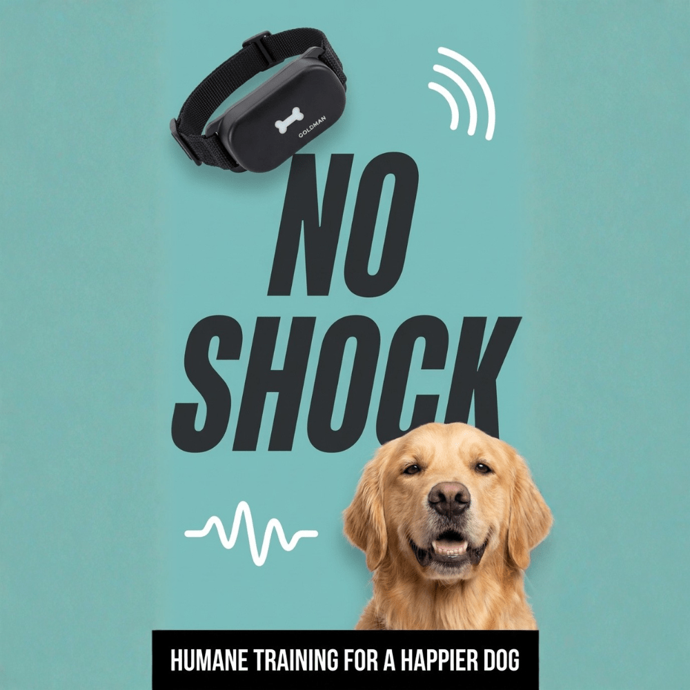 Humane No - Shock Bark Training Collar – Sound & Vibration | Large (13–22”) - WFP Store