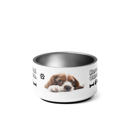 Pet bowl + WITH THE PHRASE "THE TRUE OWNER OF THE HOUSE EATS HERE" - WFP Store