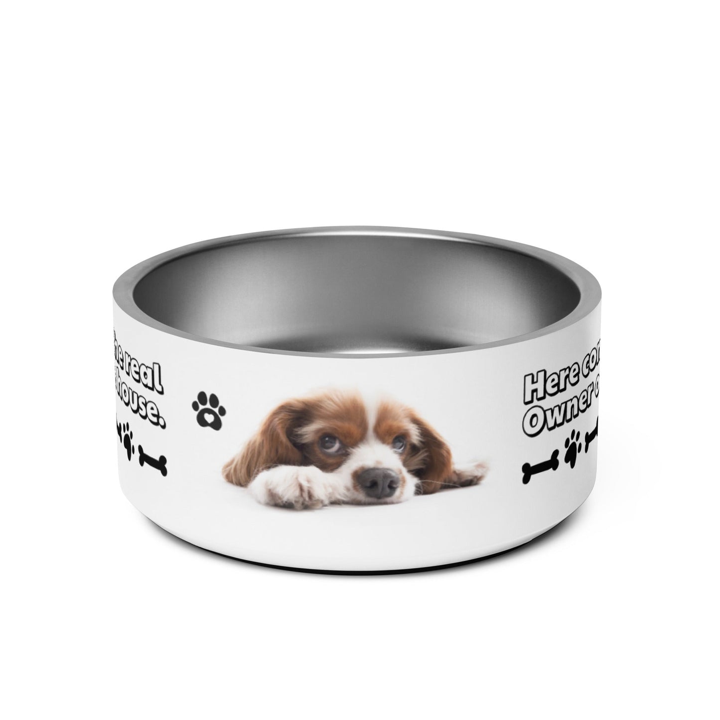 Pet bowl + WITH THE PHRASE "THE TRUE OWNER OF THE HOUSE EATS HERE" - WFP Store
