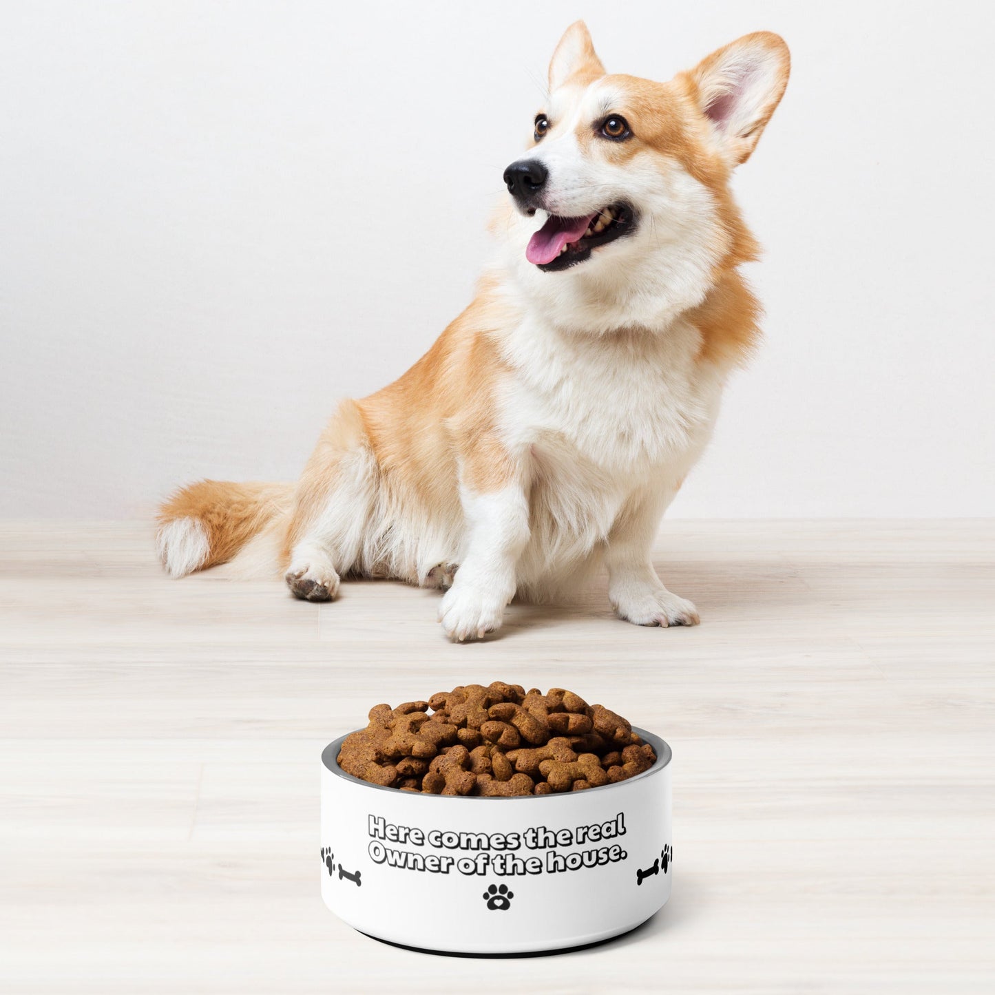 Pet bowl + WITH THE PHRASE "THE TRUE OWNER OF THE HOUSE EATS HERE" - WFP Store