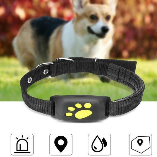 Pet Trackmaster: The Ultimate Gps Pet Tracker - WFP Store