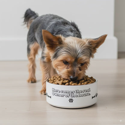 Pet Bowl – “The True Owner of the House Eats Here”