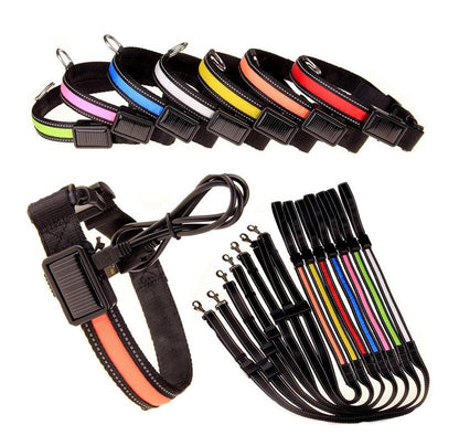 USB and Solar Charge Reflective Led Dog Collar - WFP Store