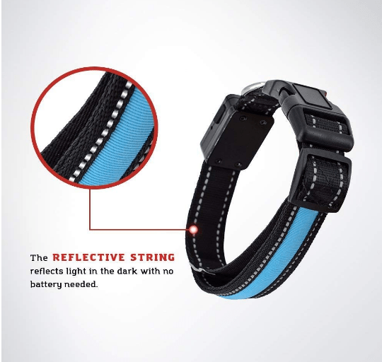 USB and Solar Charge Reflective Led Dog Collar - WFP Store