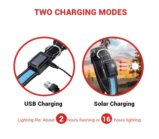 USB and Solar Charge Reflective Led Dog Collar - WFP Store
