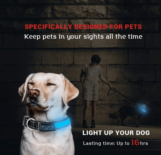 USB and Solar Charge Reflective Led Dog Collar - WFP Store