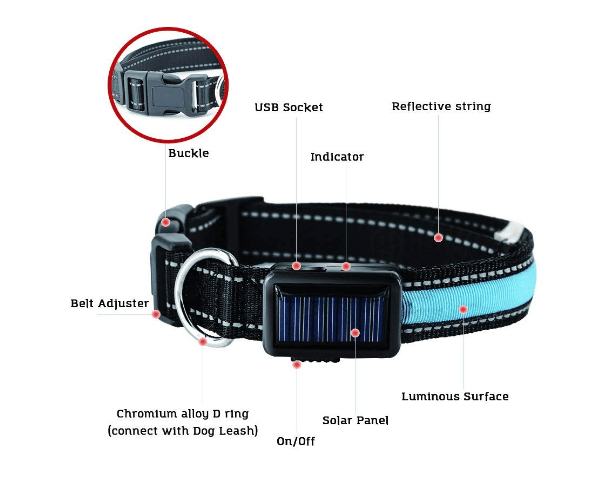 USB and Solar Charge Reflective Led Dog Collar - WFP Store